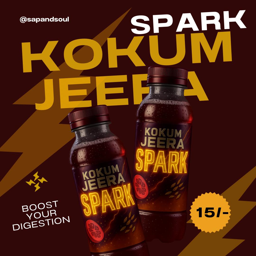 KOKUM JEERA SPARK - Pack of 24 (210ml each)